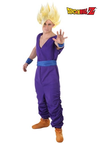 Adult Gohan Costume