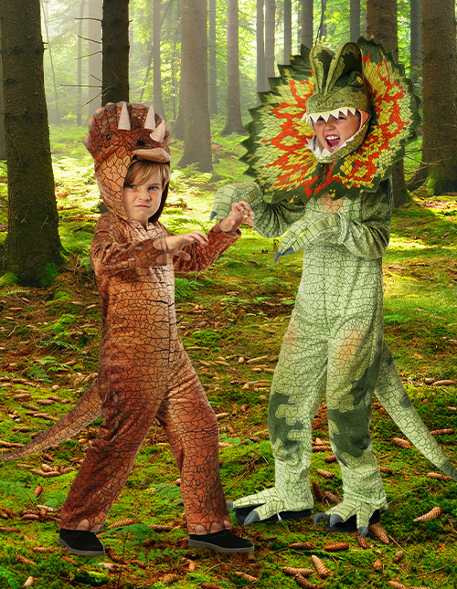 Boys’ Dinosaur Costumes