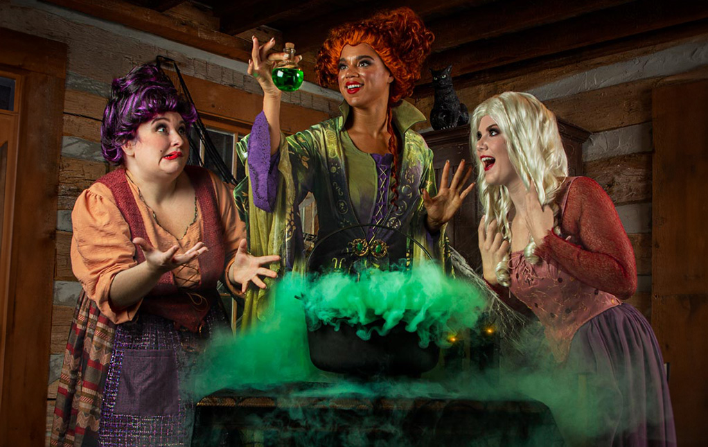 Hocus Pocus Costume Accessories