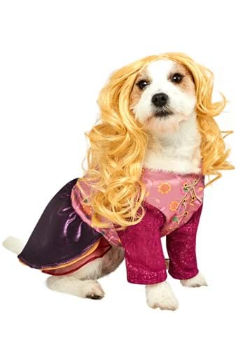 Hocus Pocus Sarah Sanderson Pet Costume