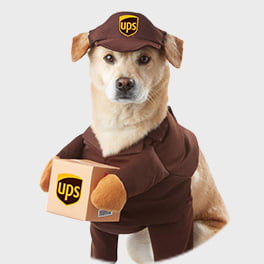 Pet Costumes